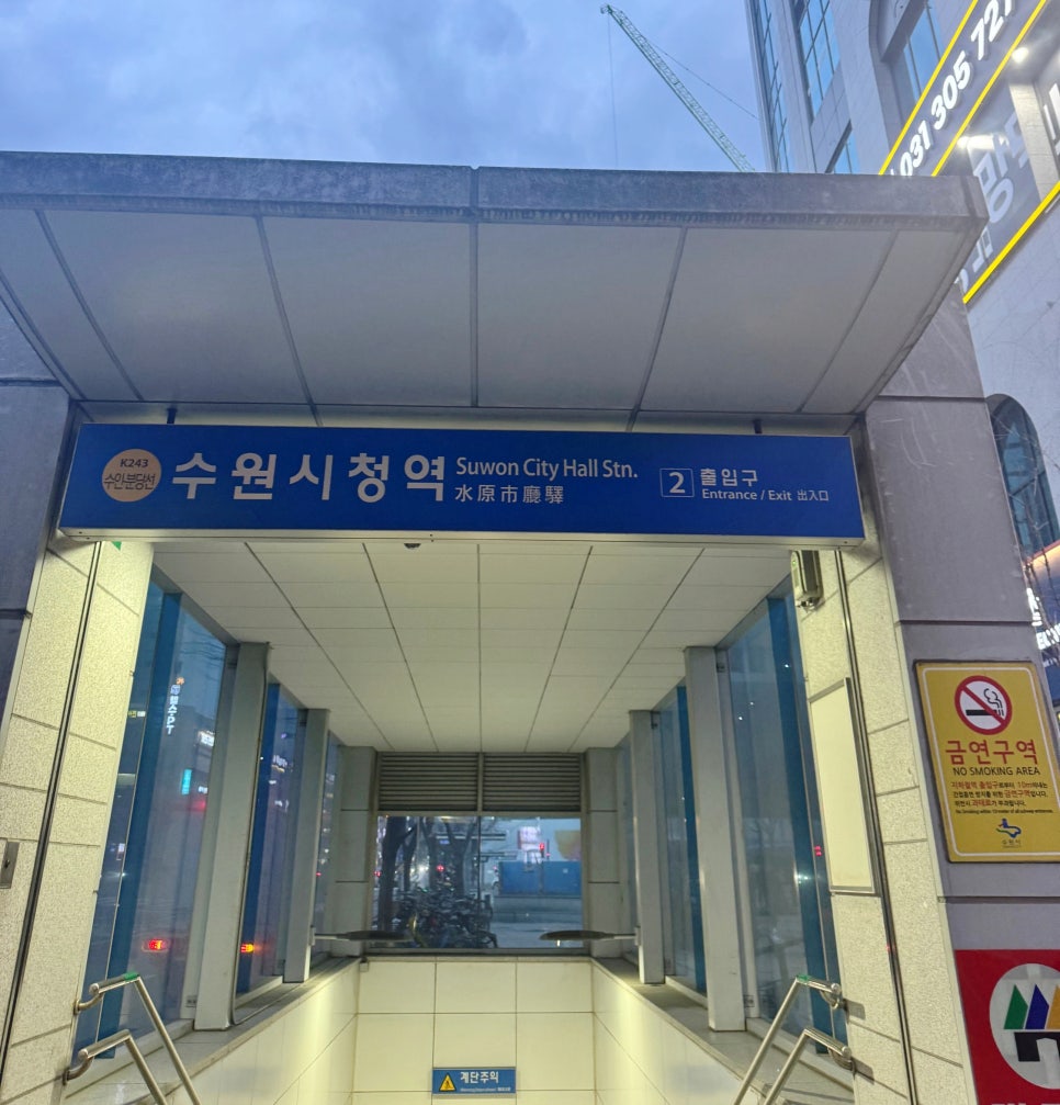 요를레이케이크 이미지