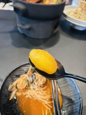엔돌픽 이미지