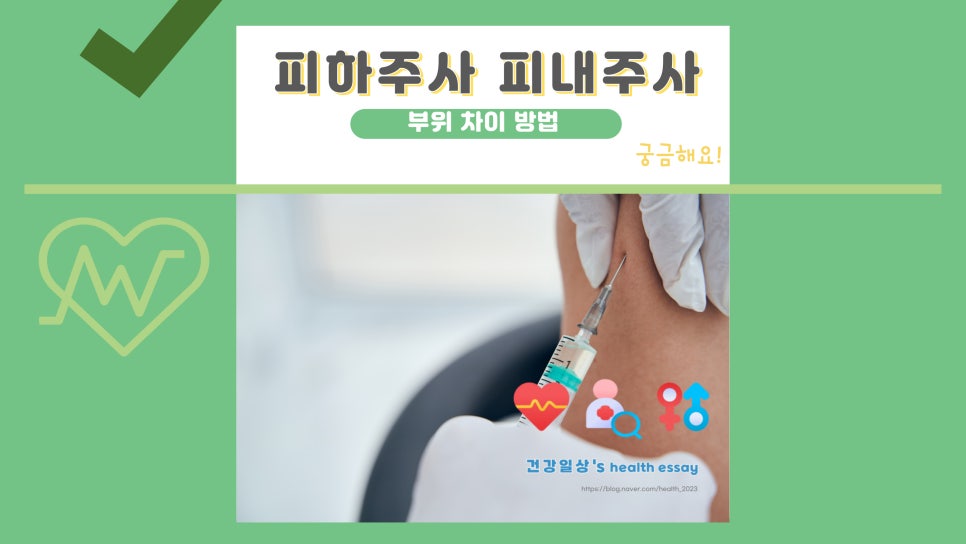피하주사 피내주사 주사 방법 목적 부위 차이 : 네이버 블로그