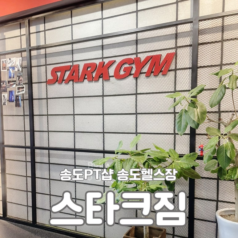 스타크짐PT송도 이미지
