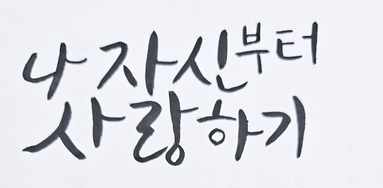 볼텍 이미지