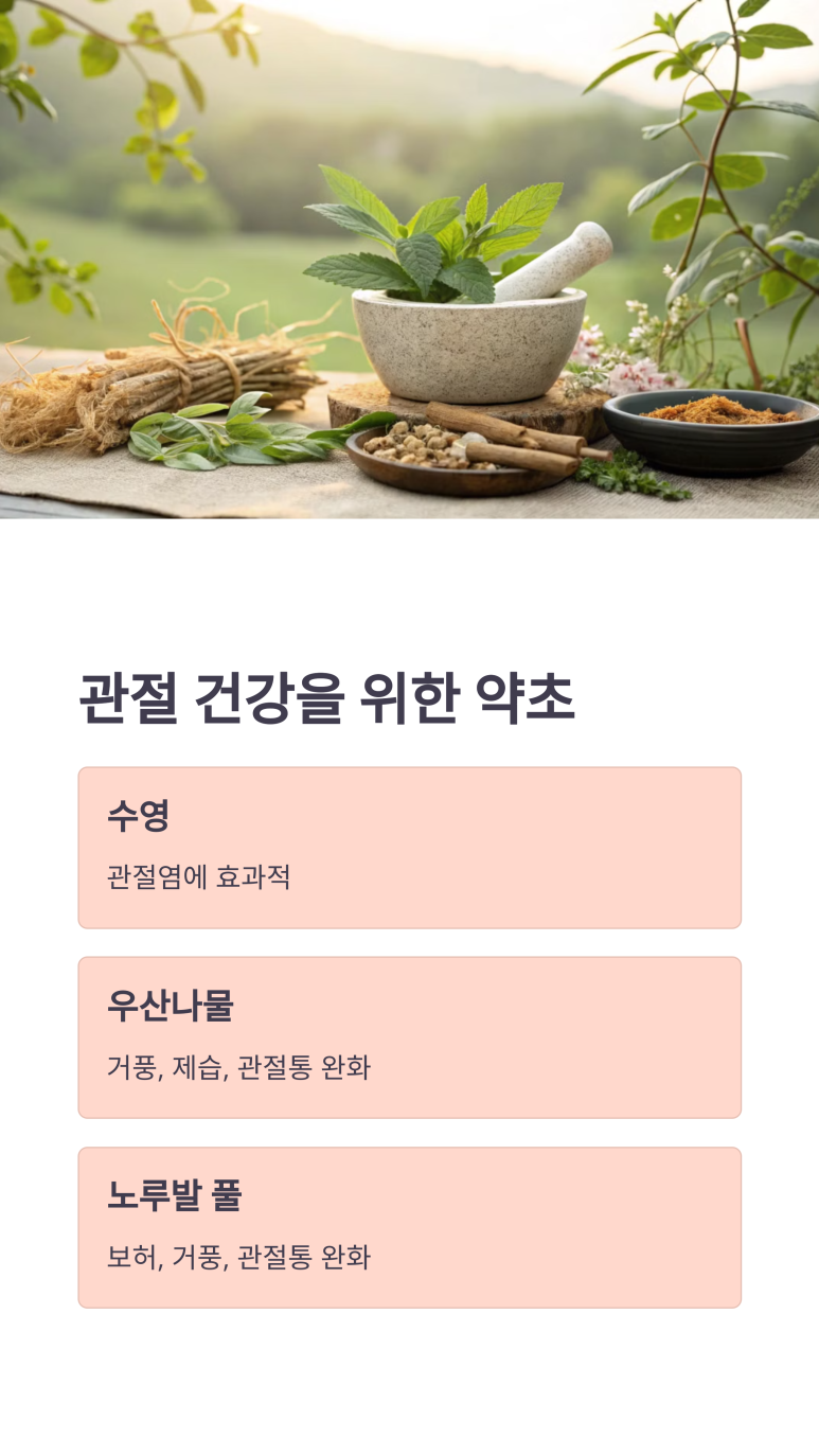 약초생활건강 이미지