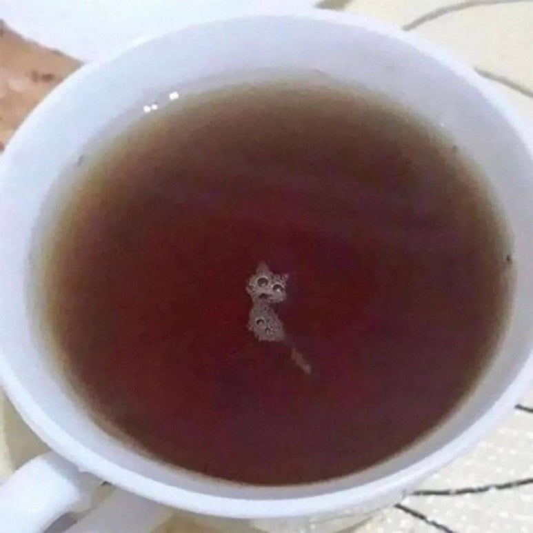 커피퐁당 이미지