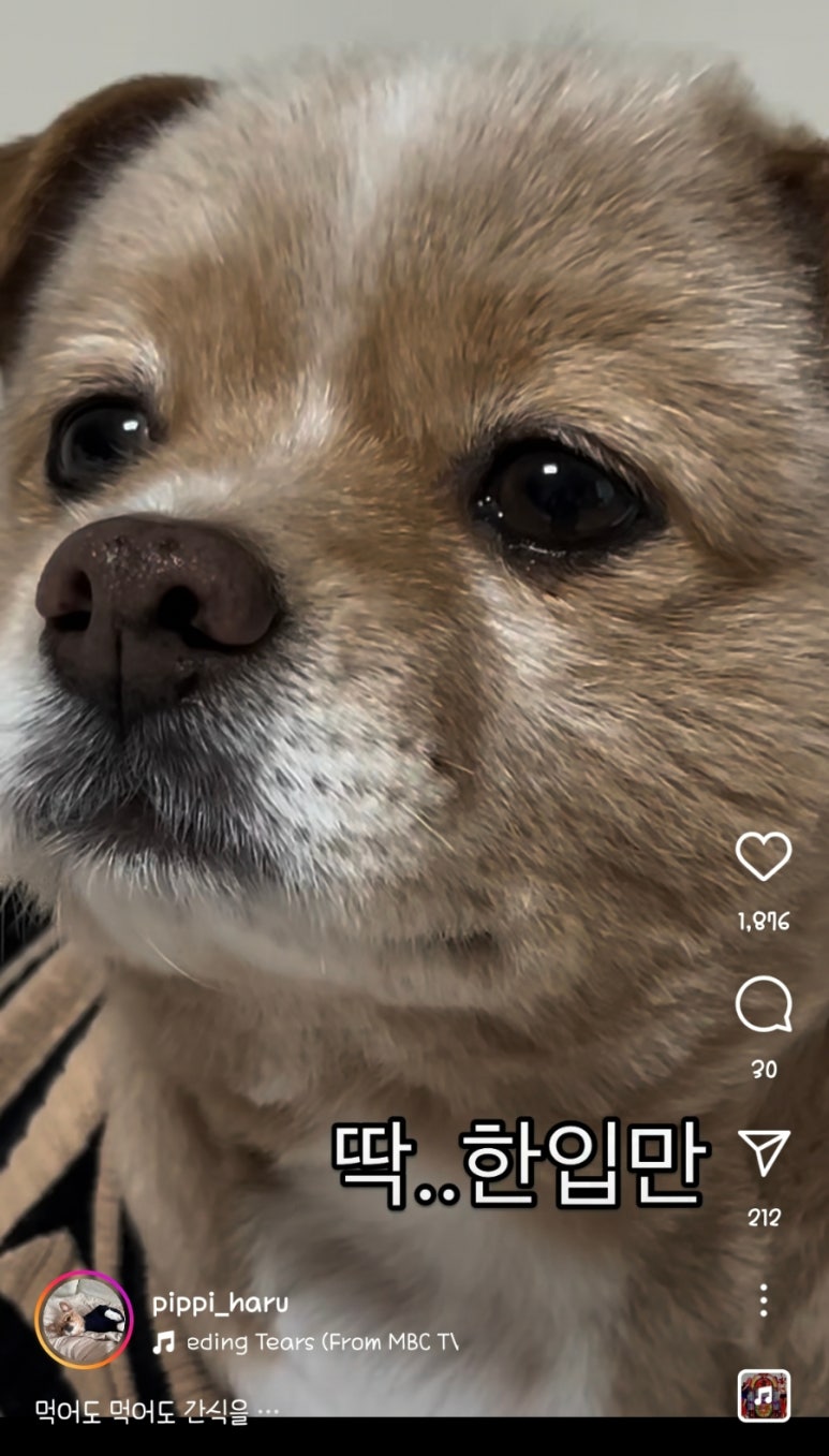 놀자 이미지