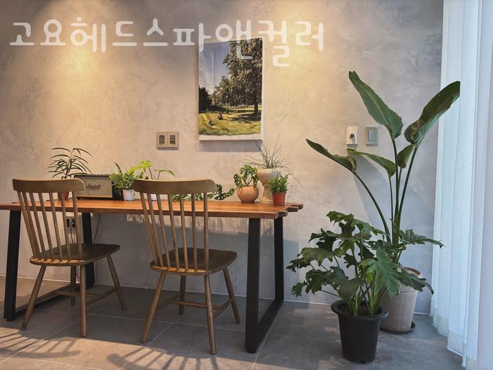 고요헤드스파앤컬러 이미지