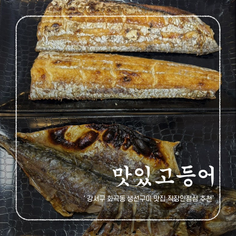 맛있고등어 이미지