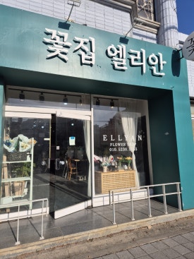 엘리안플라워 이미지