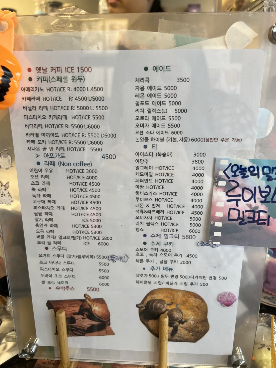 달빛 거북이 이미지