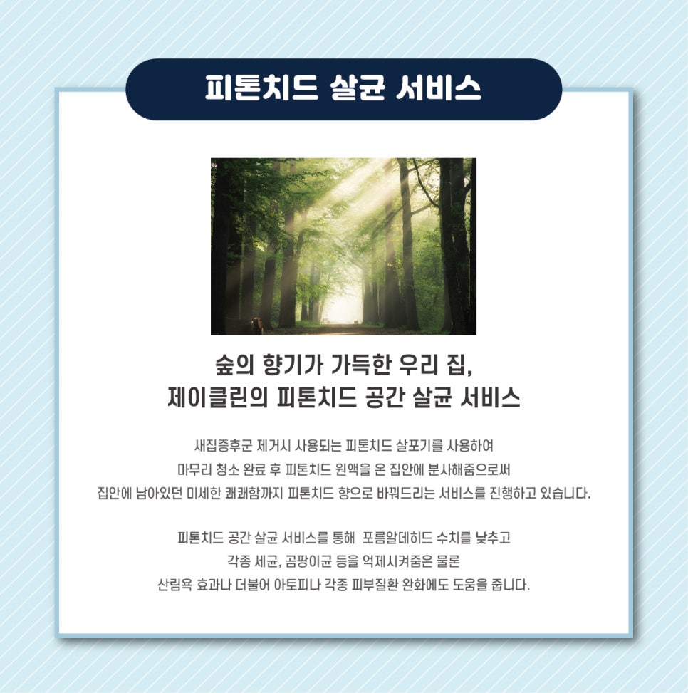 더제이클린 이미지