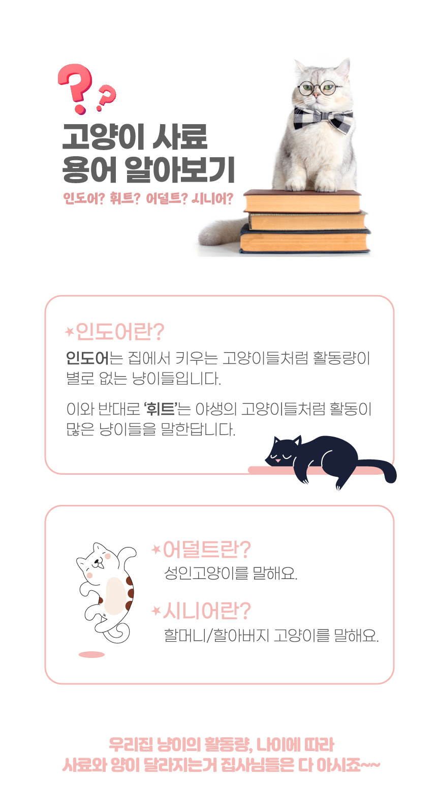 디자인씨원 이미지