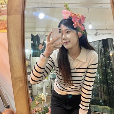 헤쎄드플라라 이미지