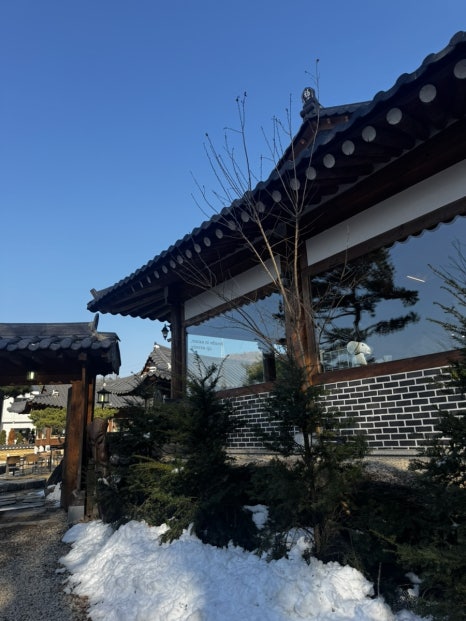 그리네 사바나 이미지
