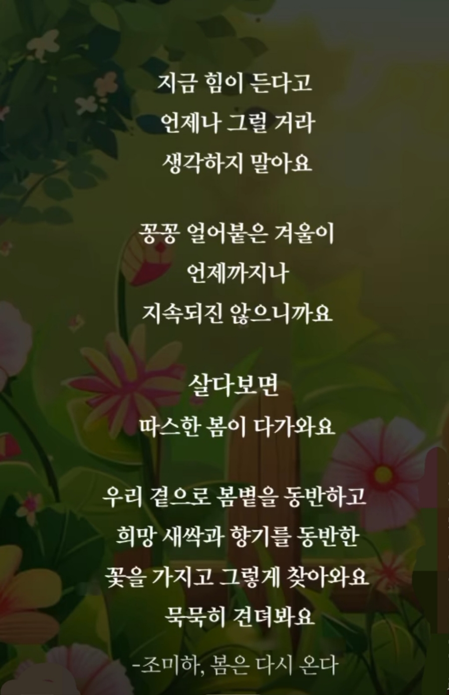 제주가좋다 이미지