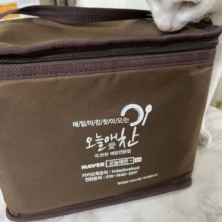 오늘애반찬 이미지