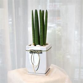 그린 숲 이미지