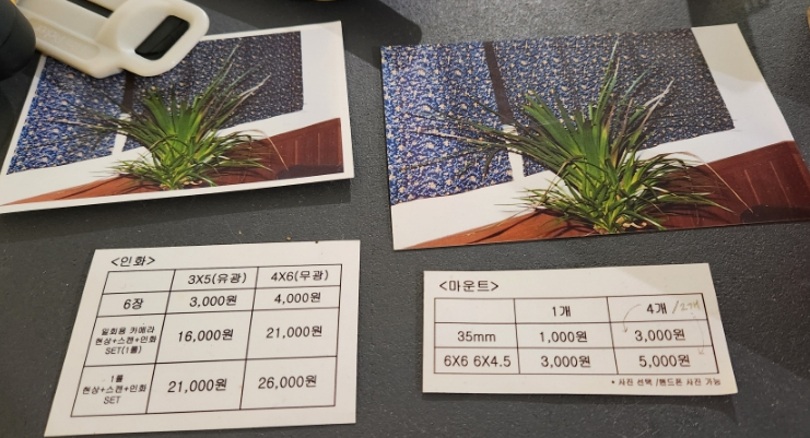 취미사 이미지