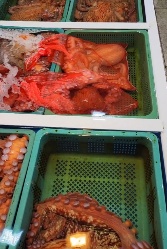 삼호수산 이미지