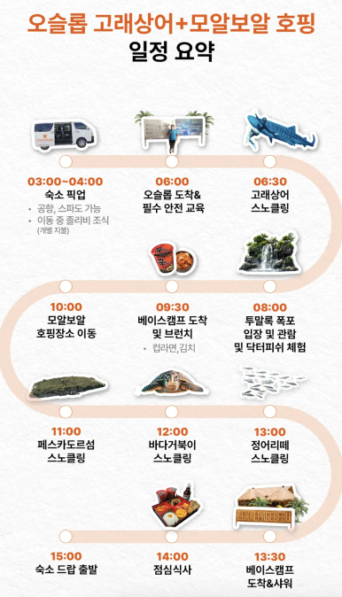 신나는고래 이미지