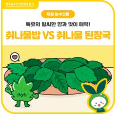 봄철 입맛 살리는 향긋한 제철 농산물! [취나물밥] vs [취나물 된장국] 당신의 선... 바로가기