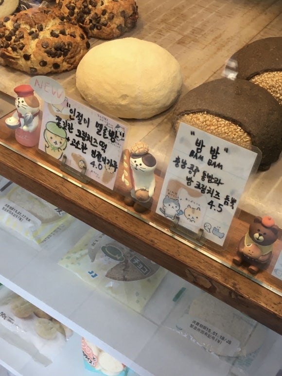 카멜리온 이미지
