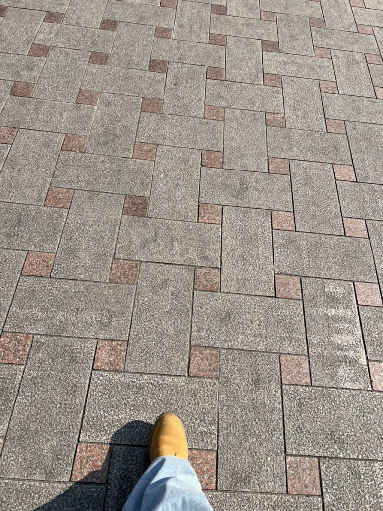 거보 이미지