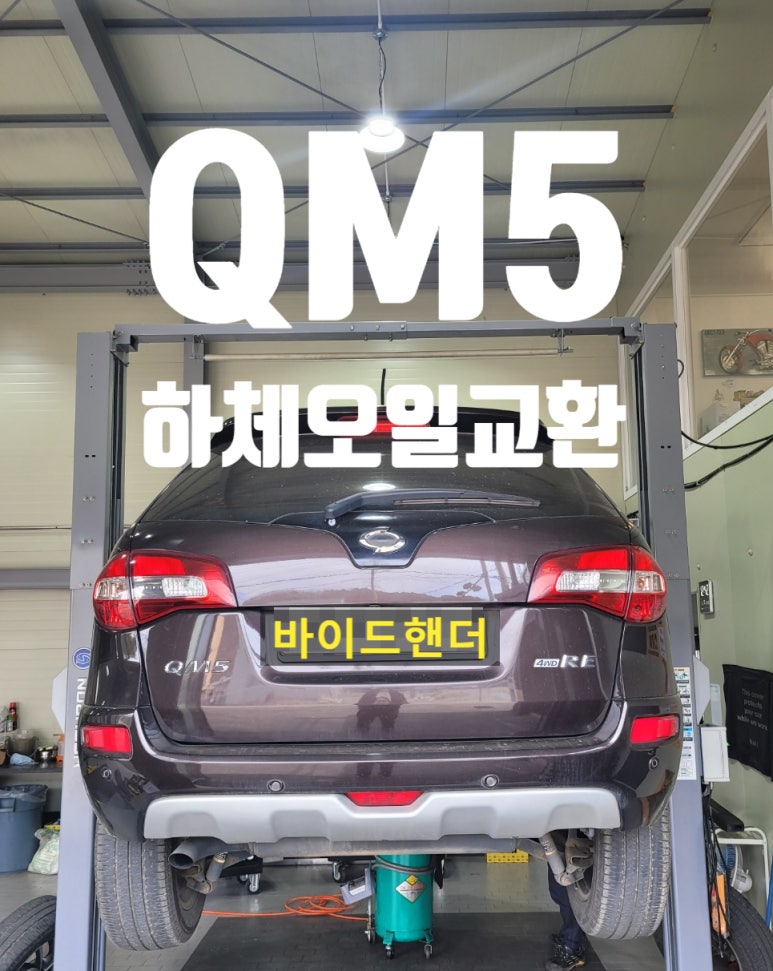 바이드핸더 이미지