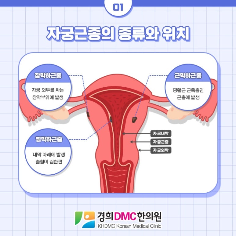경희DMC한의원 이미지
