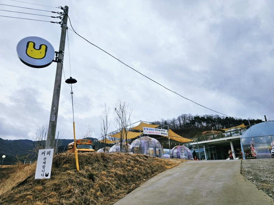 옐로우레빗츠 이미지