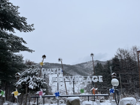 위드펫빌리지 이미지