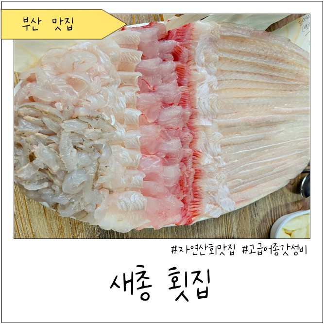 새총횟집 이미지