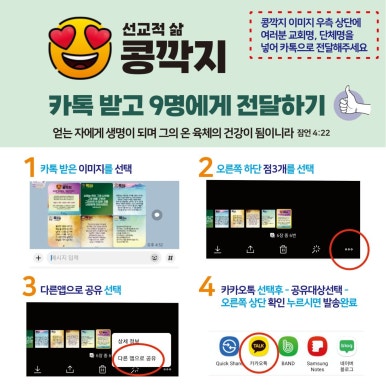 콩깍지 이미지