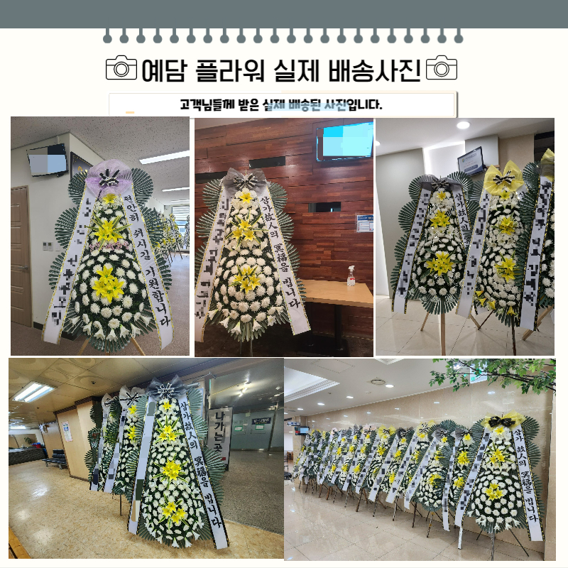 하늘원 이미지