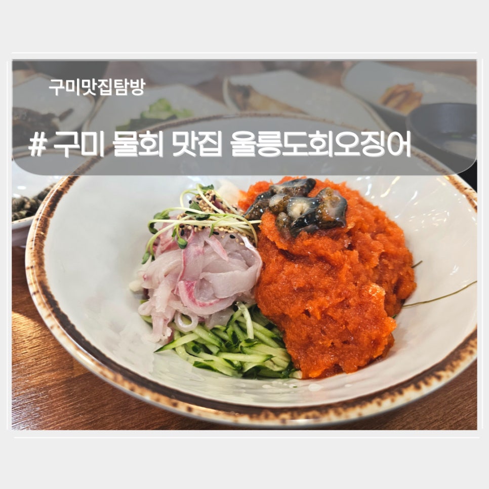 울릉도회오징어 이미지