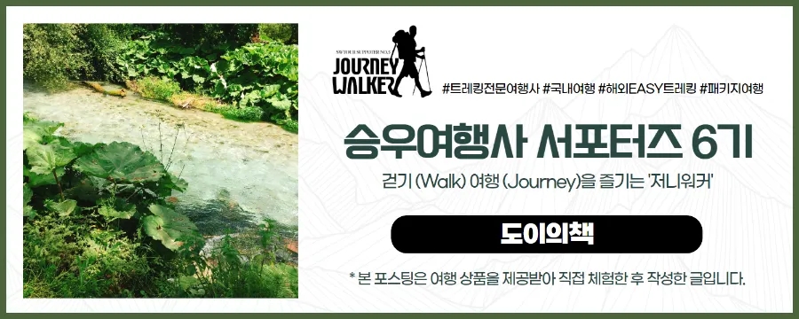 신기여행사 이미지