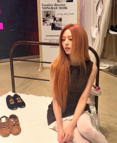 오렌지슈가 이미지