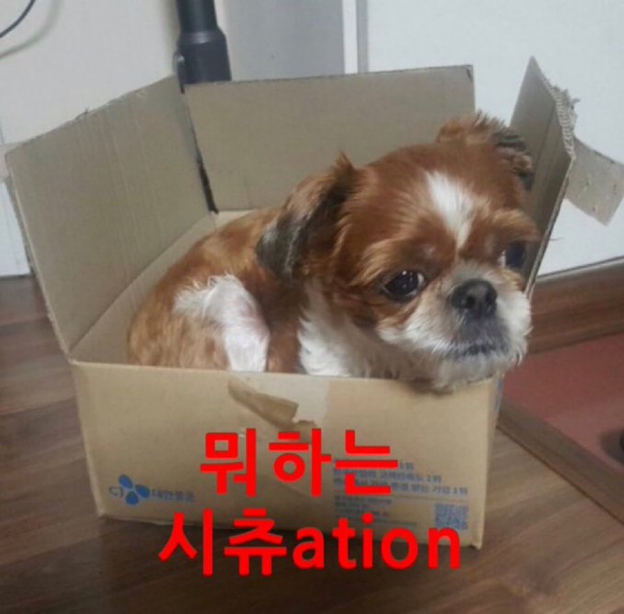 오카에리 이미지
