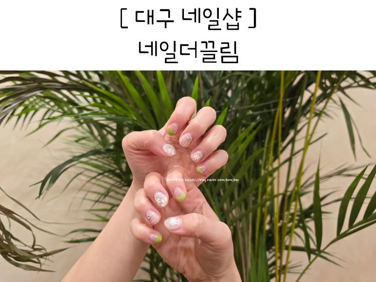 화니네일 이미지