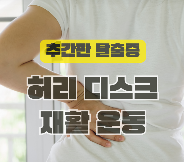 이루짐 피티샵 이미지