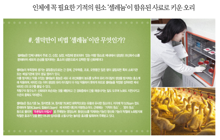 모란식품 이미지