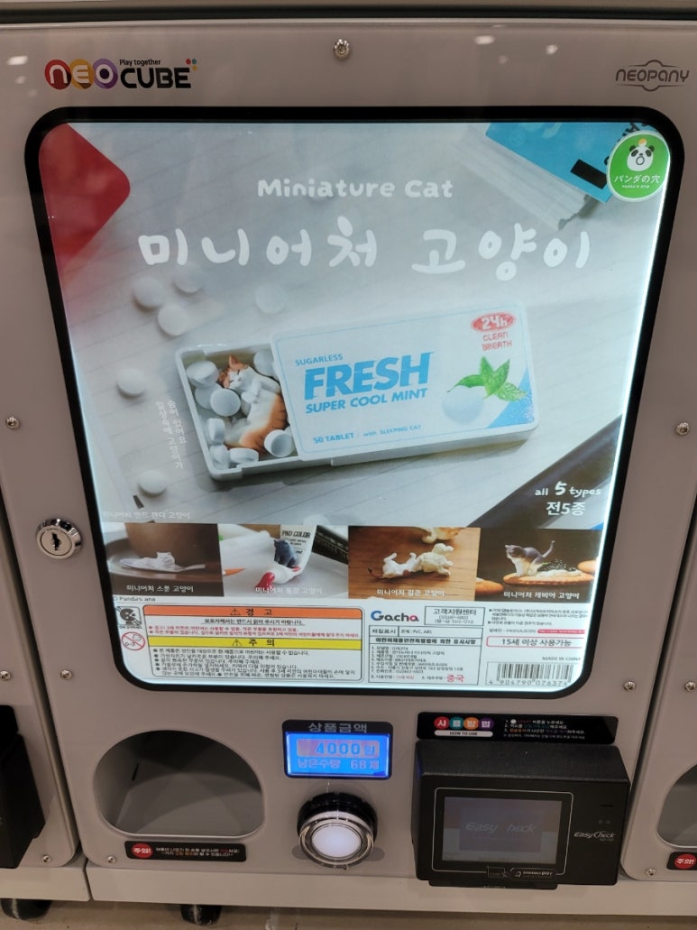 가챠콩 이미지