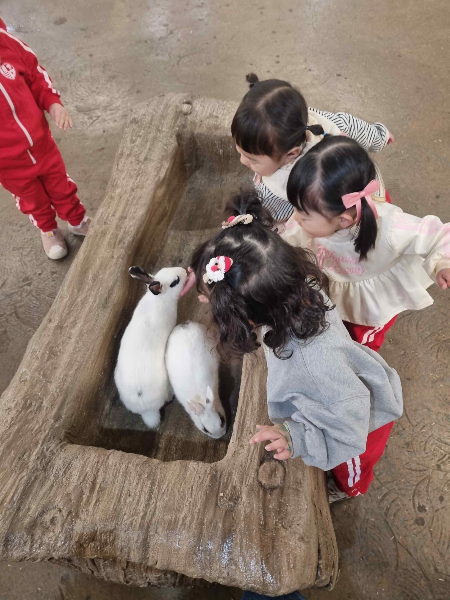 아이벅스 이미지