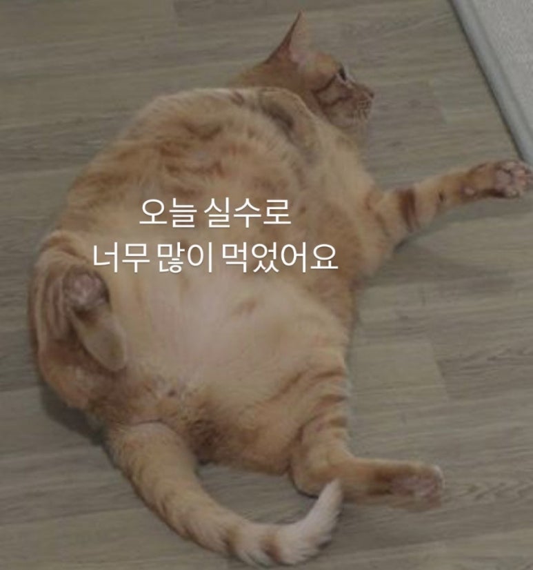 유크리 이미지