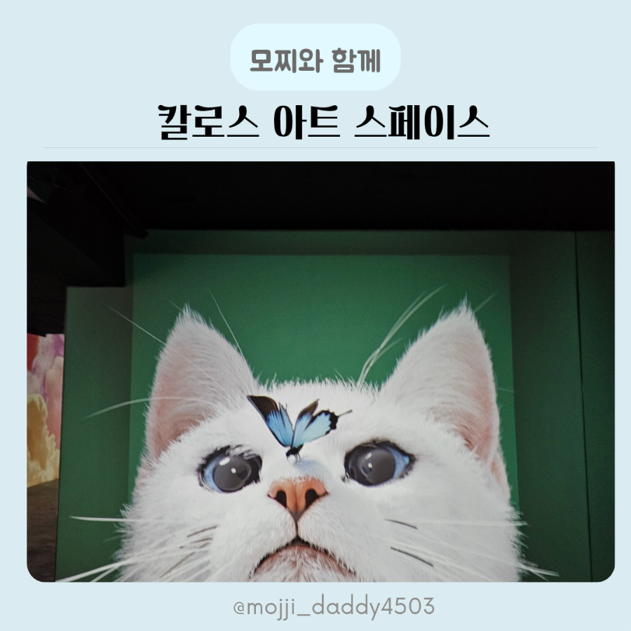 칼로스아트스페이스 이미지