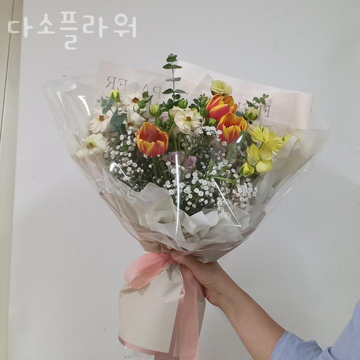 다소 이미지
