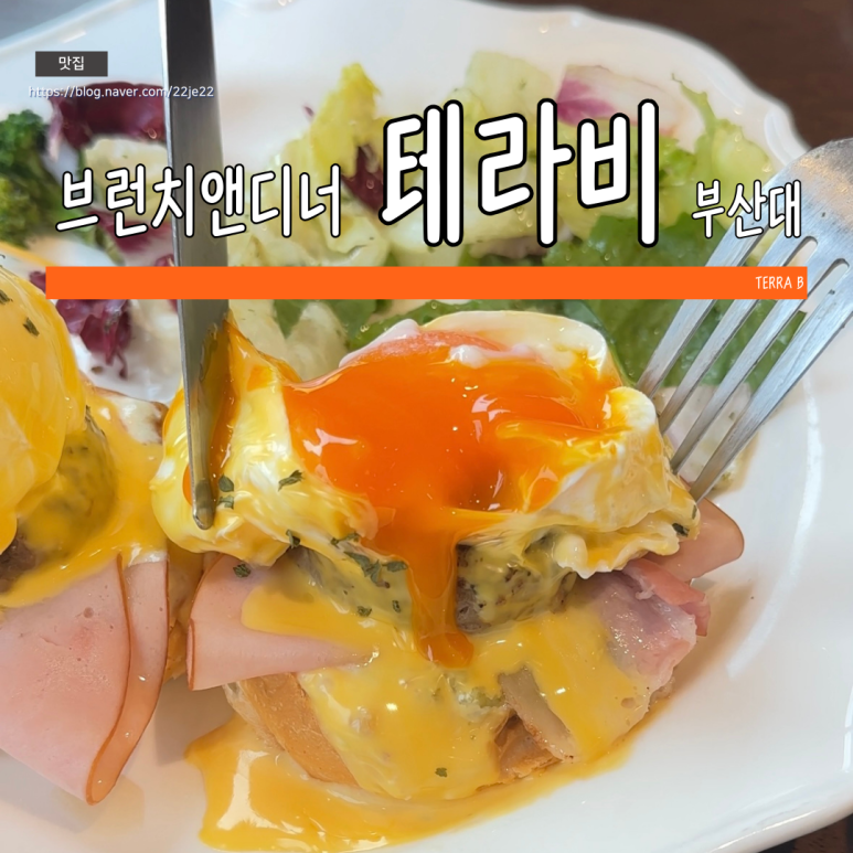 브런치앤디너테라비 이미지