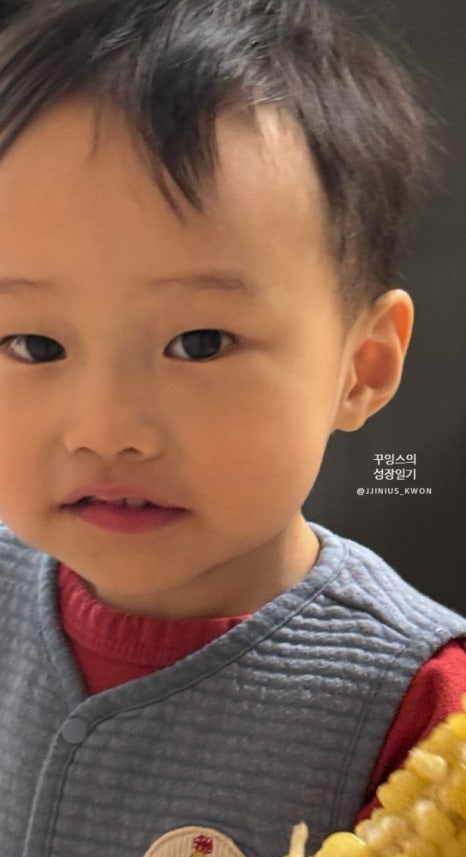 지블록 이미지