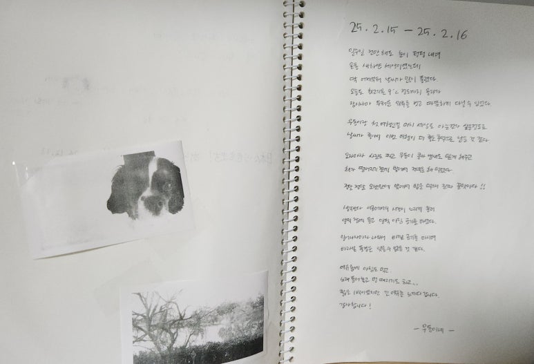 달과7펜스 이미지