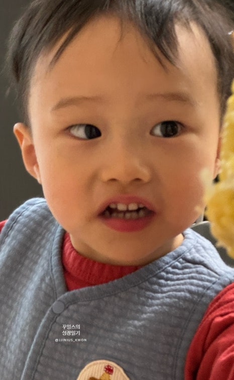 지블록 이미지