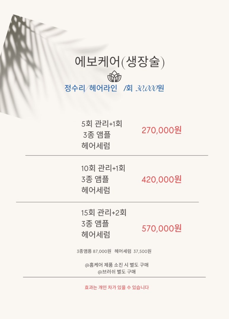 블라써밍 이미지