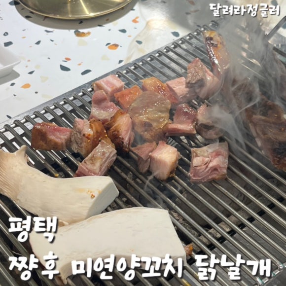 쨩후 미연양꼬치 닭날개 이미지